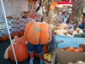 Really cute pumpkin on big Macs at the Manteca pumpkin fair...thus weekend..come on down! Perry & sons booth, sycamore & yosemite